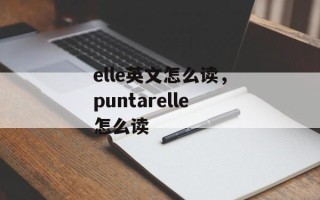 elle英文怎么读，puntarelle怎么读