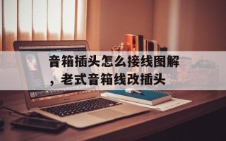 音箱插头怎么接线图解，老式音箱线改插头