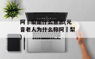 阿阇梨是什么意思(元音老人为什么称阿阇梨)