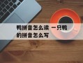 鸭拼音怎么读 一只鸭的拼音怎么写