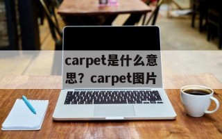 carpet是什么意思？carpet图片