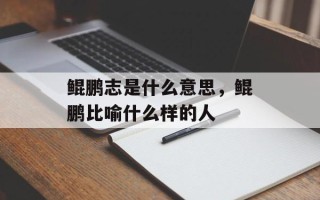 鲲鹏志是什么意思，鲲鹏比喻什么样的人