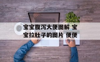 宝宝腹泻大便图解 宝宝拉肚子的图片 便便