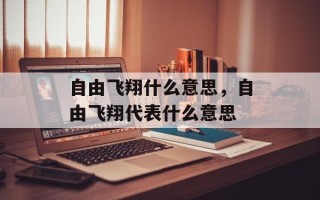 自由飞翔什么意思，自由飞翔代表什么意思