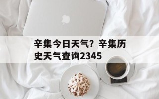 辛集今日天气？辛集历史天气查询2345