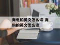 海龟的英文怎么读 海豹的英文怎么读
