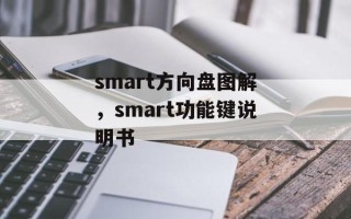 smart方向盘图解，smart功能键说明书