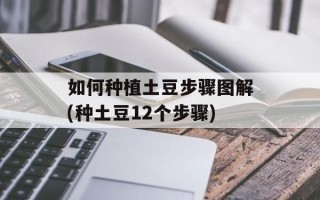 如何种植土豆步骤图解(种土豆12个步骤)