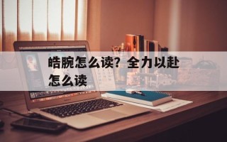 皓腕怎么读？全力以赴怎么读
