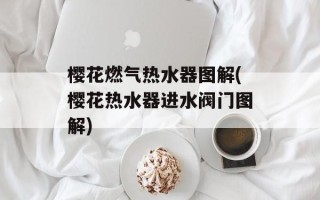 樱花燃气热水器图解(樱花热水器进水阀门图解)