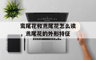 鸾尾花和鸢尾花怎么读，鸢尾花的外形特征