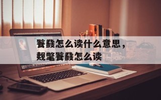 餮鼗怎么读什么意思，觌氅餮鼗怎么读