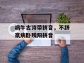 病牛古诗带拼音，不辞羸病卧残阳拼音