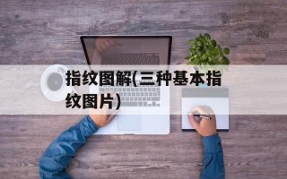 指纹图解(三种基本指纹图片)