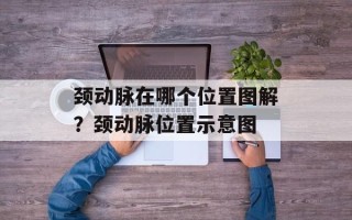颈动脉在哪个位置图解？颈动脉位置示意图