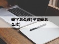 蟆字怎么读(屮霓蟆怎么读)