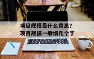 项目规模是什么意思？项目规模一般填几个字