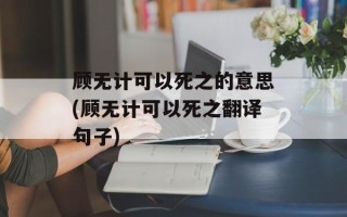 顾无计可以死之的意思(顾无计可以死之翻译句子)