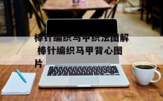 棒针编织马甲织法图解 棒针编织马甲背心图片