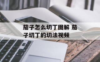 茄子怎么切丁图解 茄子切丁的切法视频