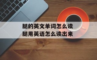 腿的英文单词怎么读 腿用英语怎么读出来