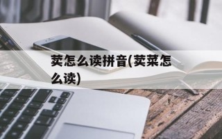 荬怎么读拼音(荬菜怎么读)