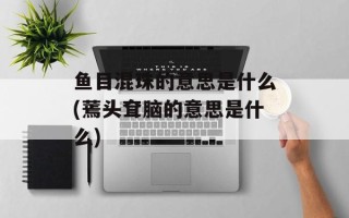 鱼目混珠的意思是什么(蔫头耷脑的意思是什么)