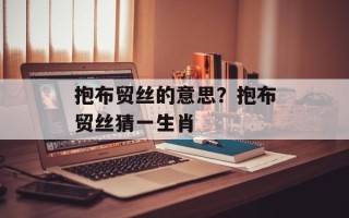 抱布贸丝的意思？抱布贸丝猜一生肖