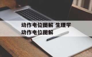 动作电位图解 生理学动作电位图解