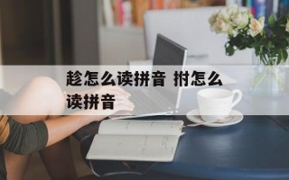 趁怎么读拼音 拊怎么读拼音