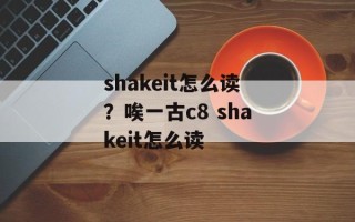 shakeit怎么读？唉一古c8 shakeit怎么读