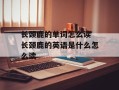 长颈鹿的单词怎么读 长颈鹿的英语是什么怎么读