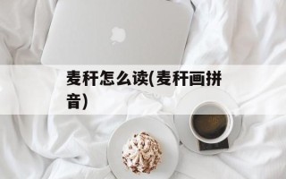 麦秆怎么读(麦秆画拼音)