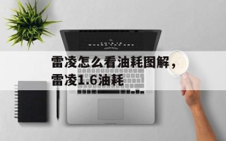 雷凌怎么看油耗图解，雷凌1.6油耗