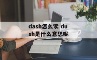 dash怎么读 dush是什么意思呢