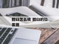 髋臼怎么读 髋臼的位置图