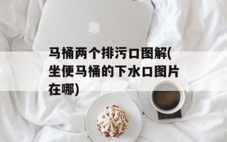 马桶两个排污口图解(坐便马桶的下水口图片在哪)