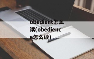 obedient怎么读(obedience怎么读)