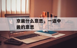 京畿什么意思，一语中畿的意思