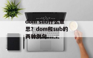 dom sub什么意思？dom和sub的两种例句