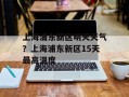 上海浦东新区明天天气？上海浦东新区15天最高温度
