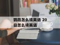鹦鹉怎么读英语 20日怎么读英语