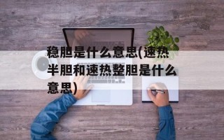 稳胆是什么意思(速热半胆和速热整胆是什么意思)