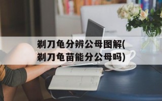 剃刀龟分辨公母图解(剃刀龟苗能分公母吗)