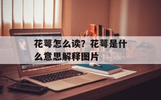 花萼怎么读？花萼是什么意思解释图片