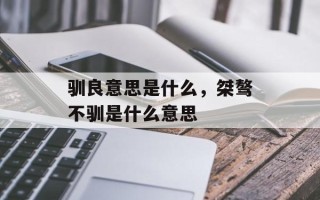 驯良意思是什么，桀骜不驯是什么意思