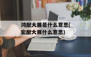 鸿猷大展是什么意思(宏猷大展什么意思)