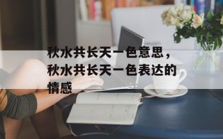 秋水共长天一色意思，秋水共长天一色表达的情感