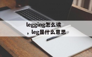 legging怎么读，leg是什么意思