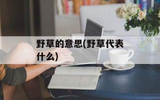 野草的意思(野草代表什么)